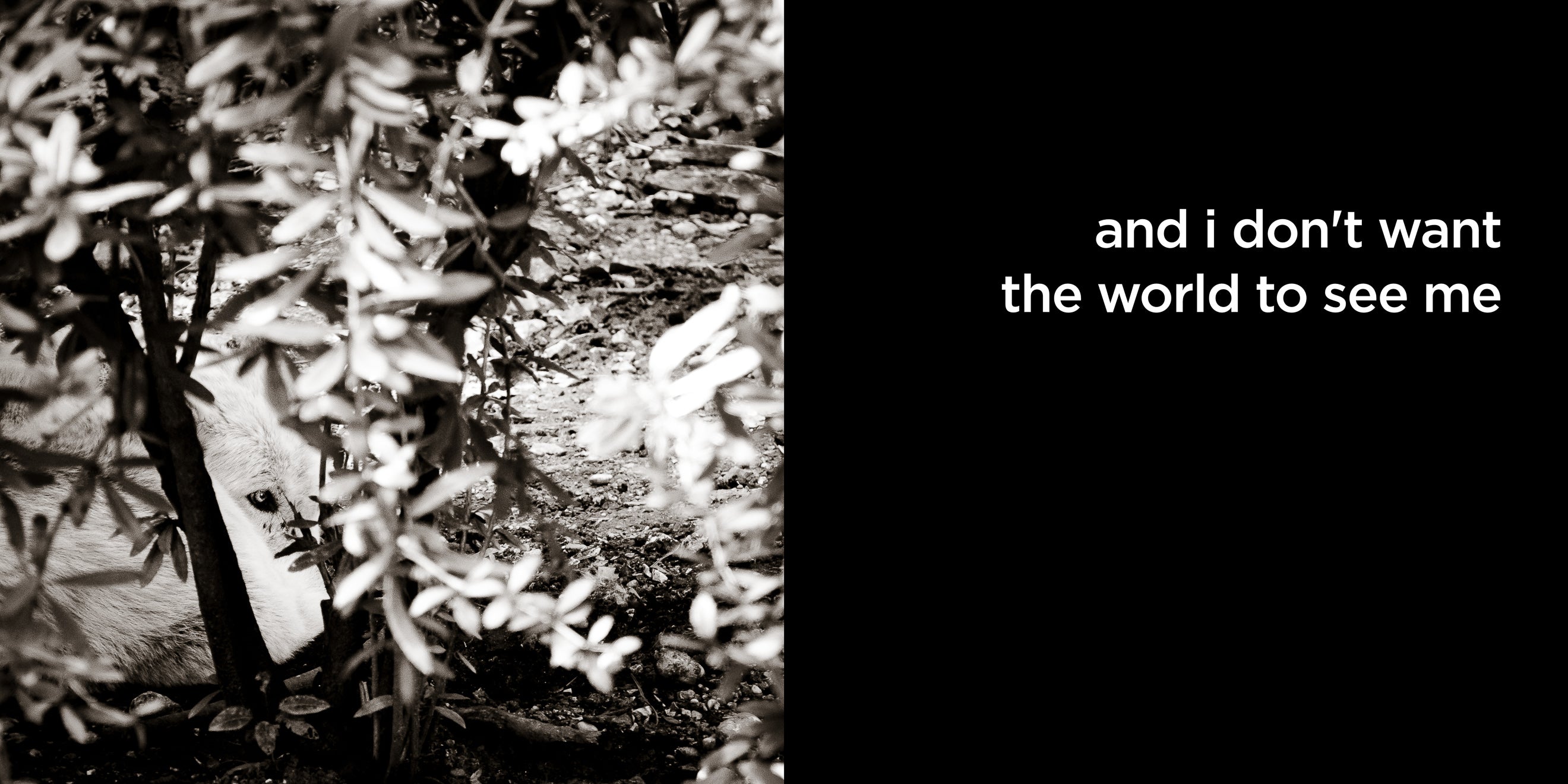 and i don’t want the world to see me | lost quotes #10: and i don’t want the world to see me