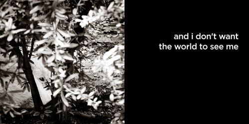 and i don’t want the world to see me | lost quotes #10: and i don’t want the world to see me