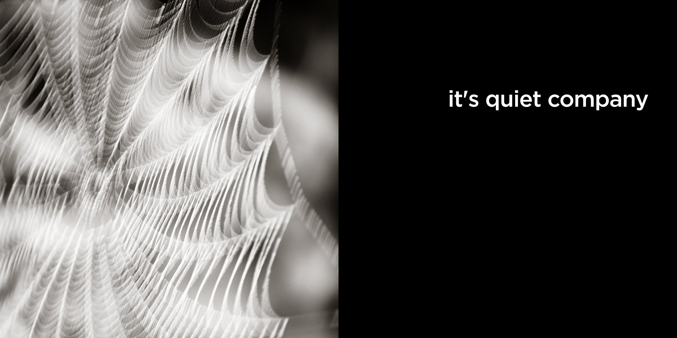 it’s quiet company | lost quotes #15: it’s quiet company