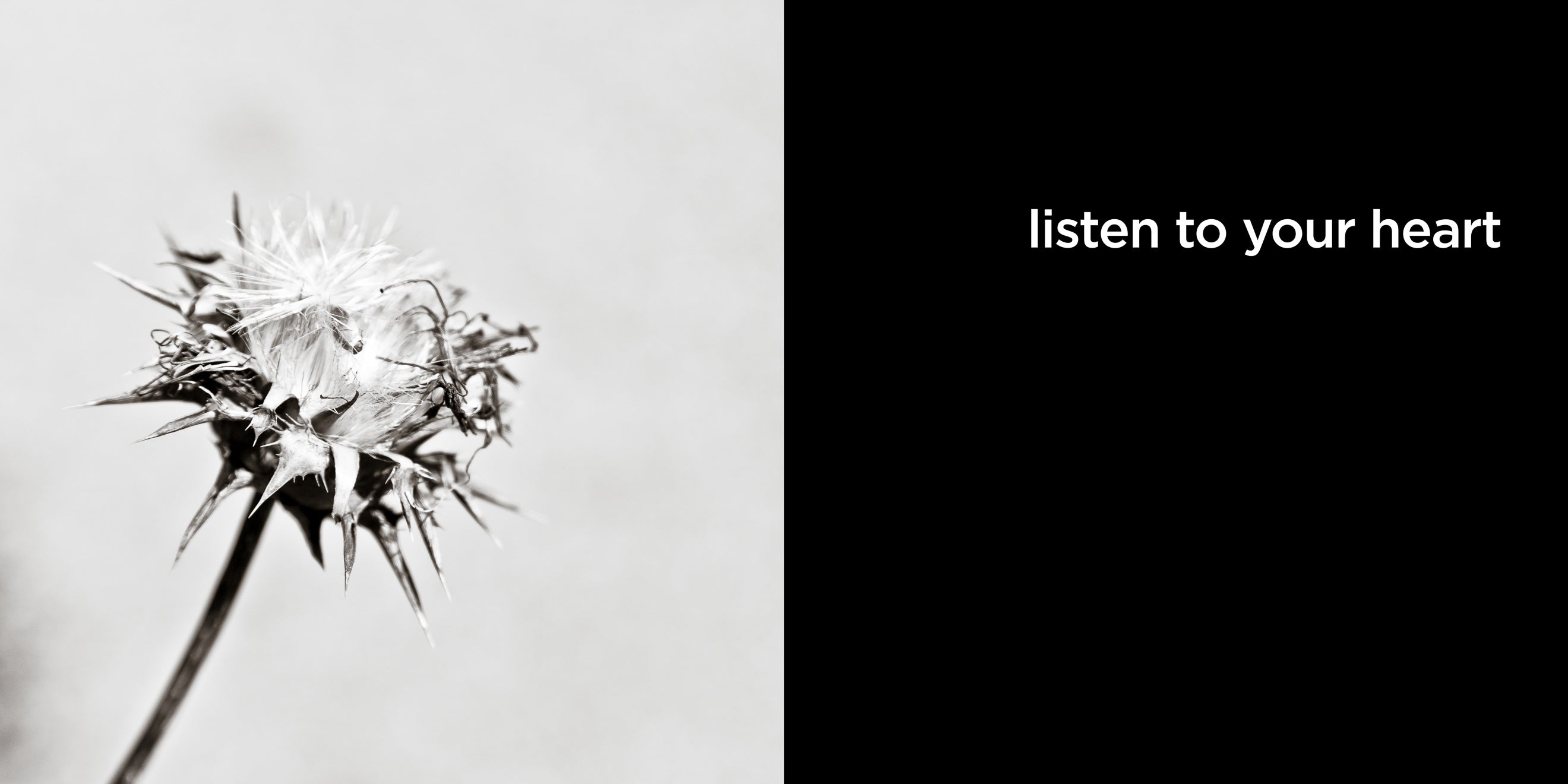 listen to your heart | lost quotes #21: listen to your heart