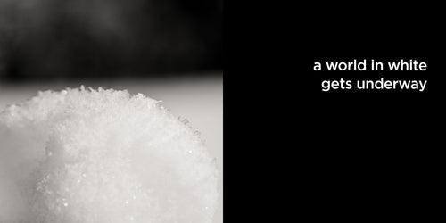 a world in white gets underway | lost quotes #35: a world in white gets underway