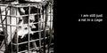 i am still just a rat in a cage | lost quotes #49: i am still just a rat in a cage