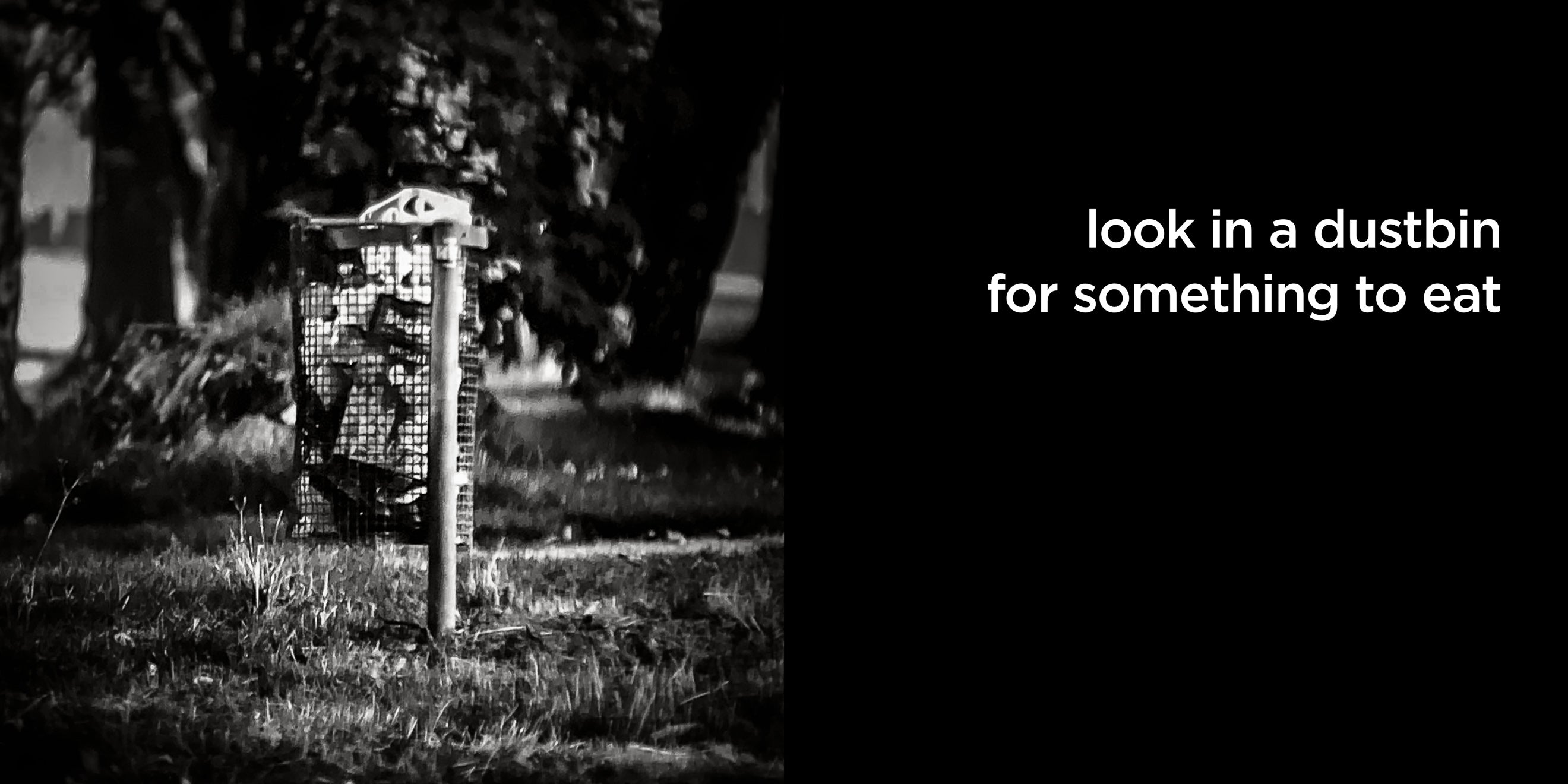 look in a dustbin for something to eat | lost quotes #70: look in a dustbin for something to eat