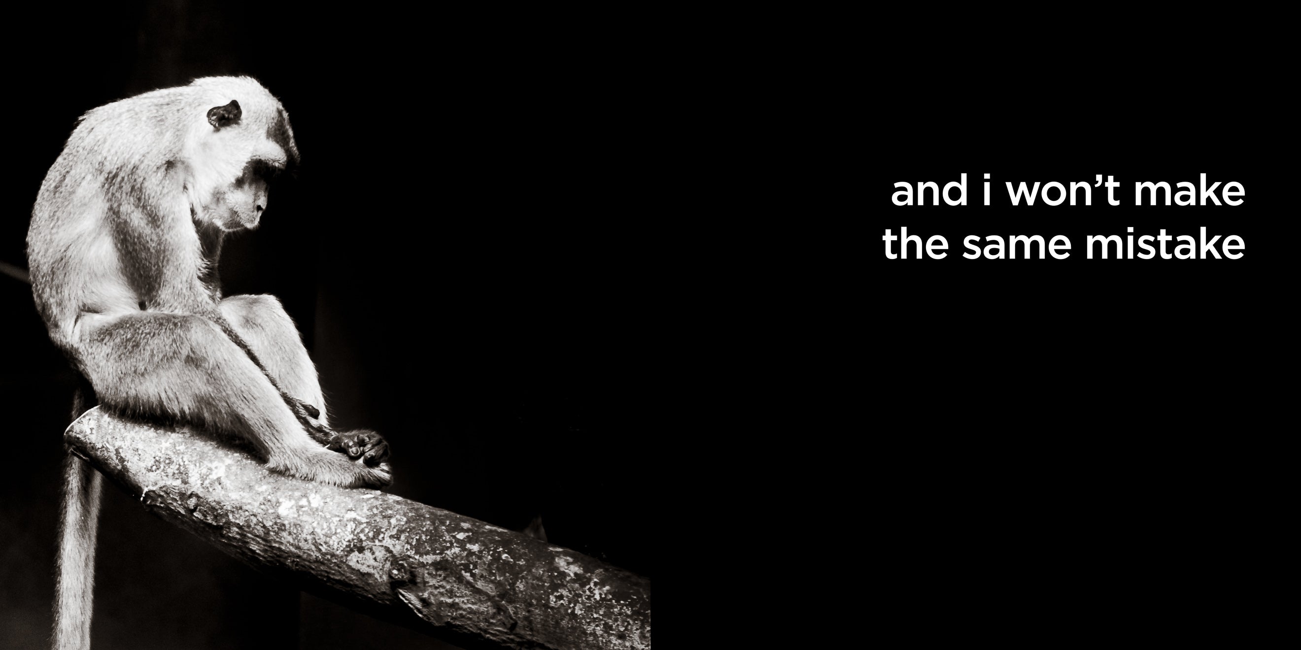 and i won’t make the same mistake | lost quotes #8: and i won’t make the same mistake