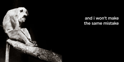 and i won’t make the same mistake | lost quotes #8: and i won’t make the same mistake